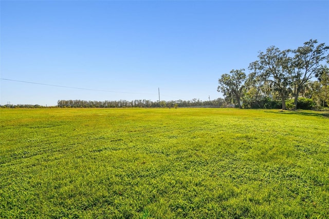 view of yard featuring a rural view