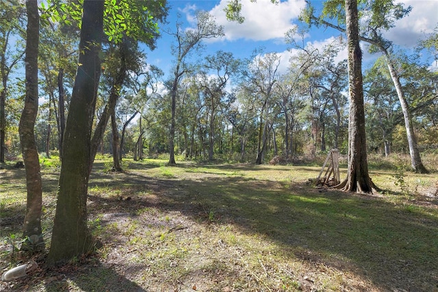 13190 Ponce De Leon Blvd, Brooksville FL, 34601 land for sale