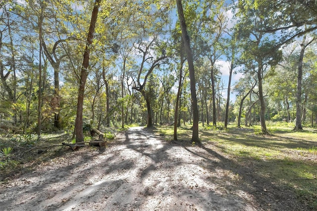 Listing photo 3 for 13190 Ponce De Leon Blvd, Brooksville FL 34601