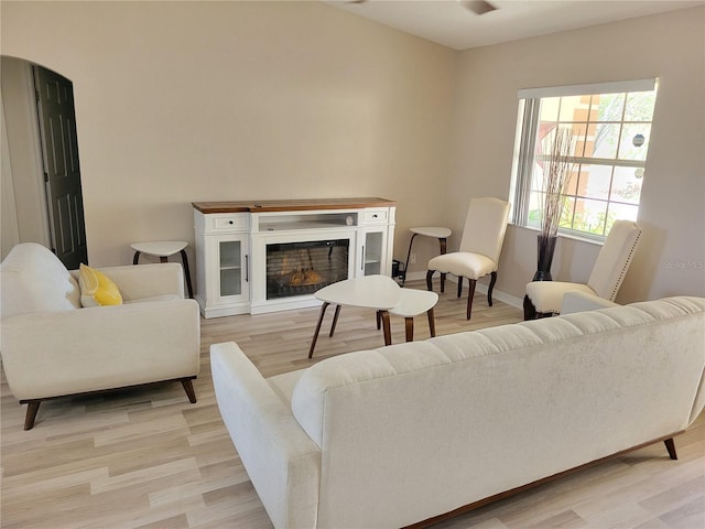 living room featuring light hardwood / wood-style floors