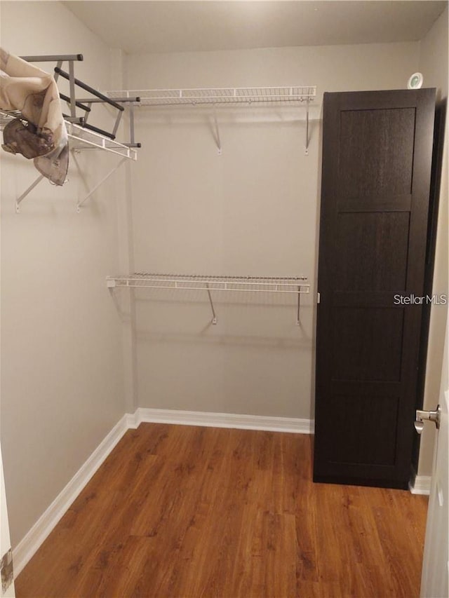 walk in closet with wood-type flooring