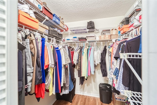 walk in closet with hardwood / wood-style flooring