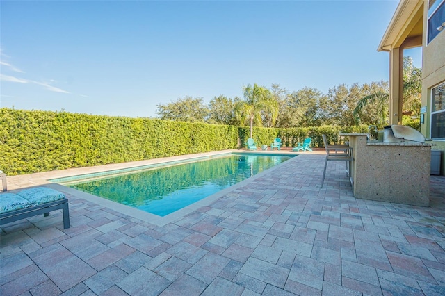 view of pool with area for grilling and a patio area