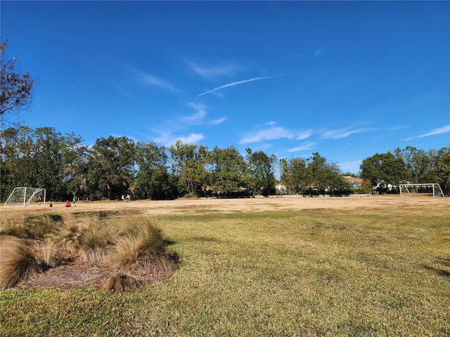 view of yard with a rural view