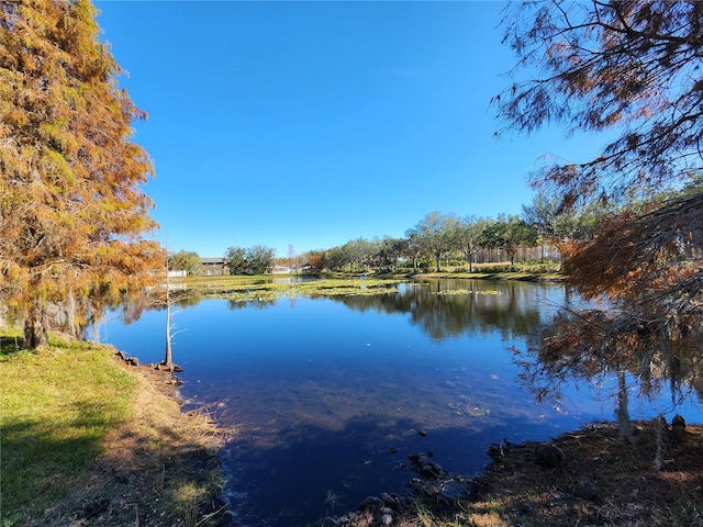 property view of water