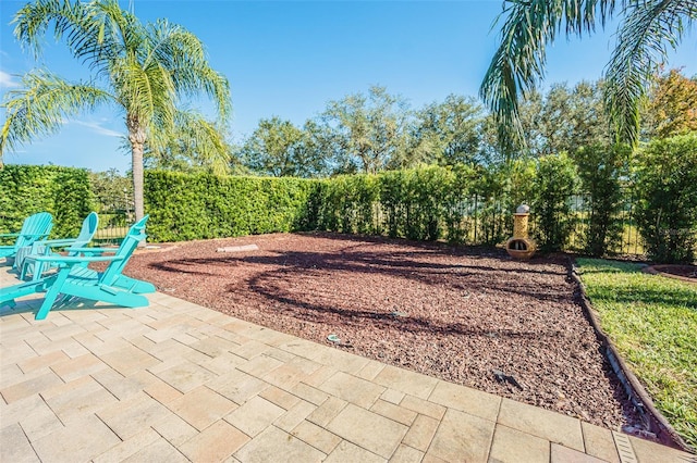 5709 White Trillium Loop, Land O Lakes, FL 34639 - view of patio