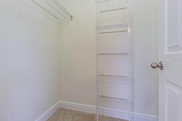 5709 White Trillium Loop, Land O Lakes, FL 34639 - view of walk in closet