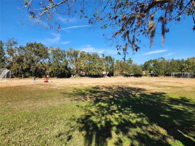 5709 White Trillium Loop, Land O Lakes, FL 34639 - view of yard featuring a sport area