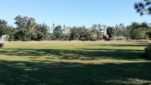 5709 White Trillium Loop, Land O Lakes, FL 34639 - view of yard with an area for sports