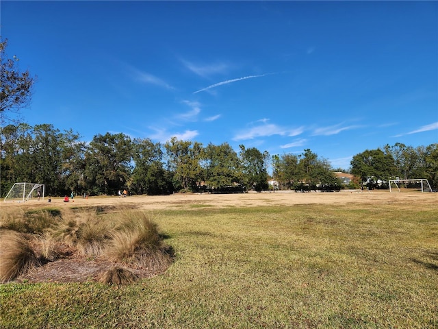 5709 White Trillium Loop, Land O Lakes, FL 34639 - view of yard with a sport area