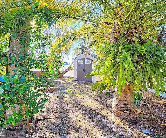 view of yard featuring a storage shed