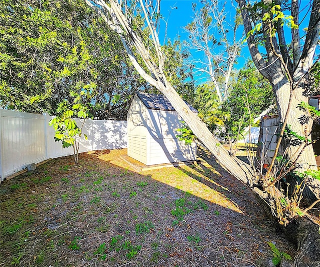 view of yard featuring a shed