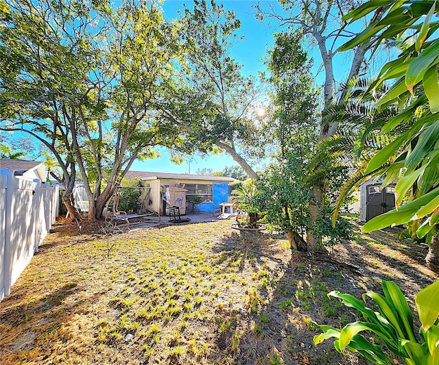 view of yard with a patio area