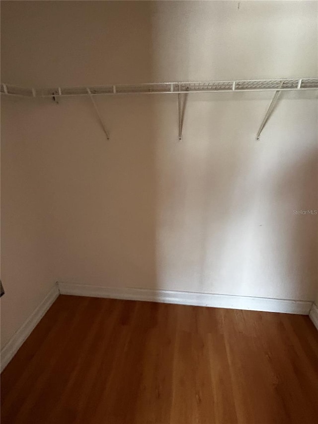 spacious closet featuring hardwood / wood-style flooring