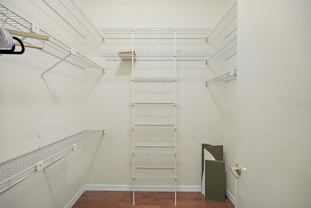 spacious closet with hardwood / wood-style flooring