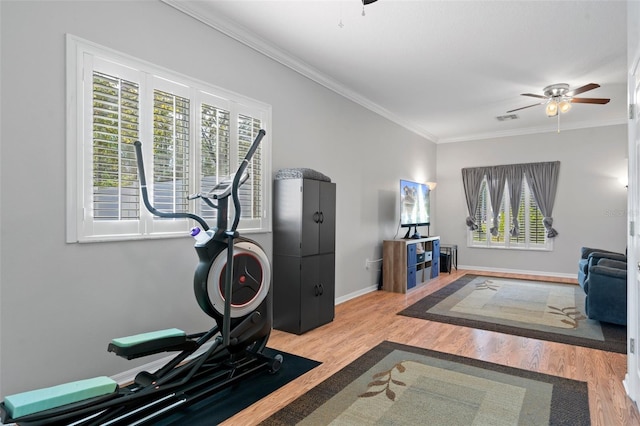 workout area with hardwood / wood-style floors, ceiling fan, and ornamental molding