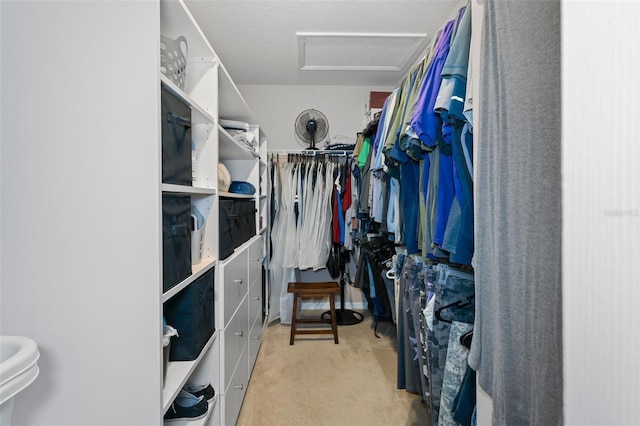 spacious closet with light colored carpet