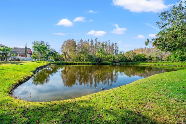 view of water feature