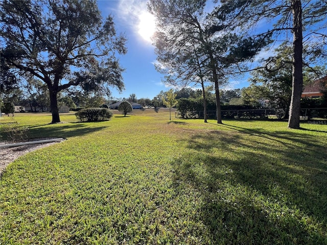 view of yard