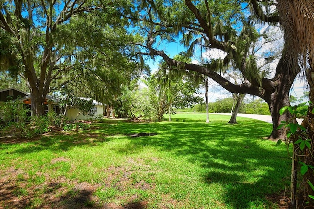 view of yard