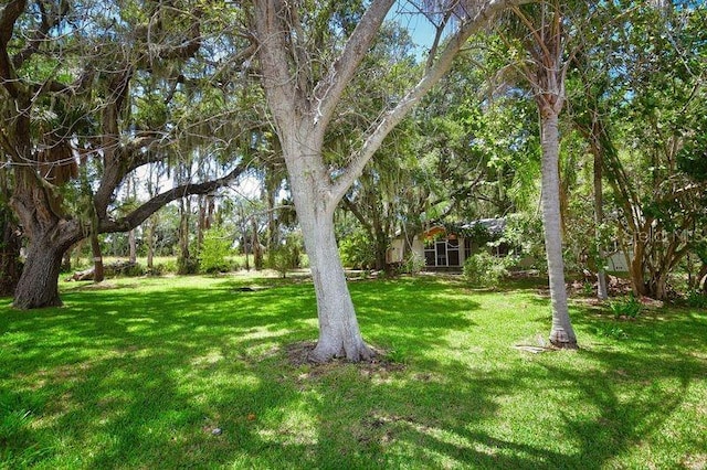 view of yard with a water view