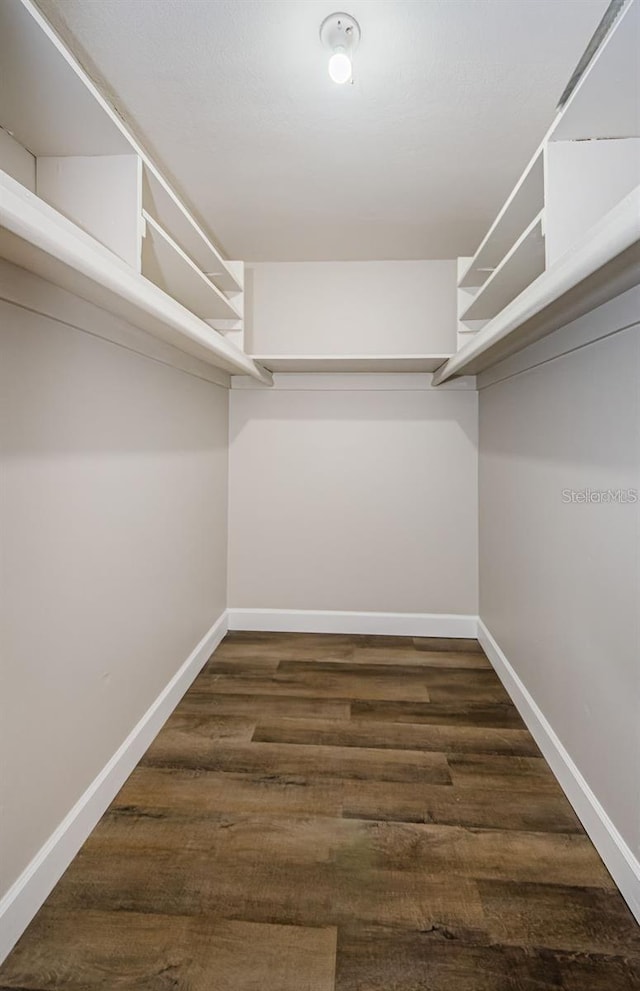 spacious closet featuring dark wood-type flooring