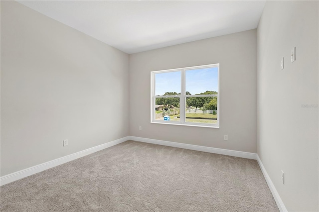 empty room featuring carpet floors