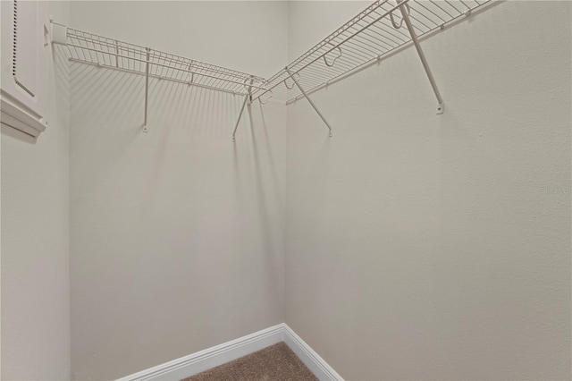 walk in closet featuring carpet