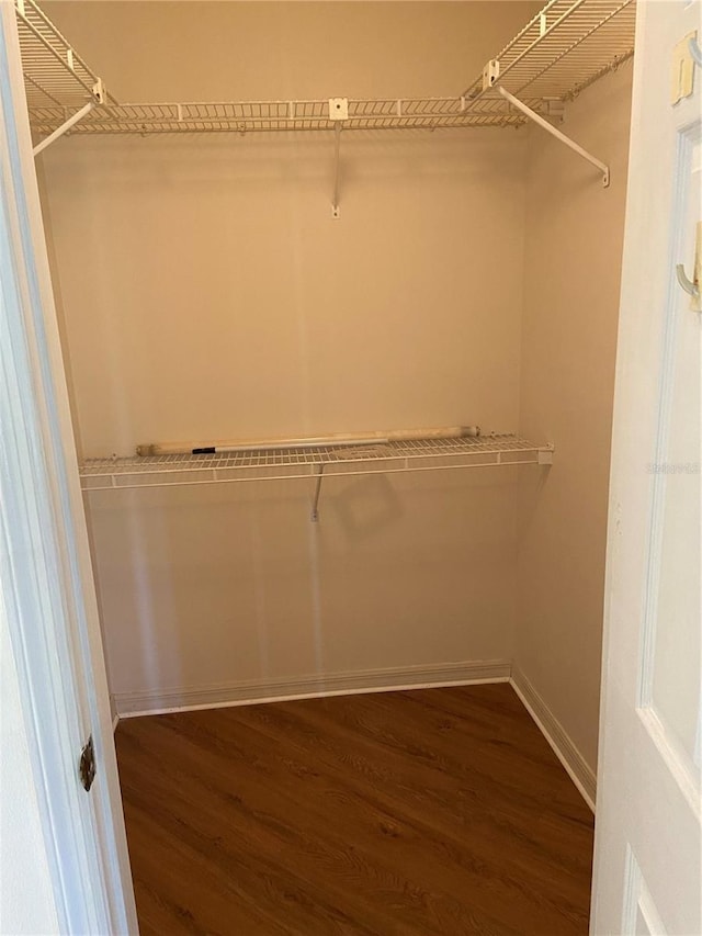 walk in closet with wood-type flooring