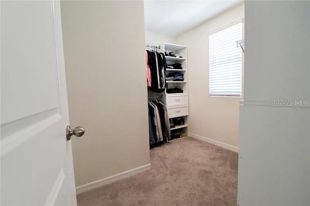 spacious closet with light carpet