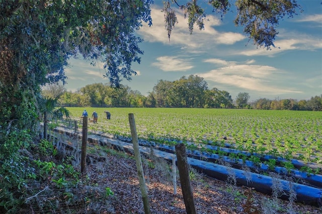 view of yard with a rural view