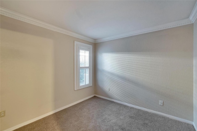 carpeted empty room with crown molding