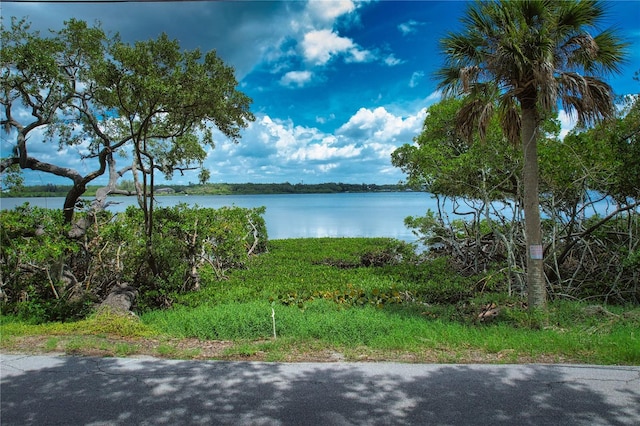 160 Bayshore Dr, Terra Ceia, FL 34250