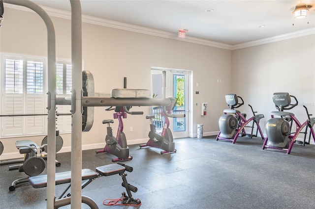 exercise area featuring a wealth of natural light and ornamental molding