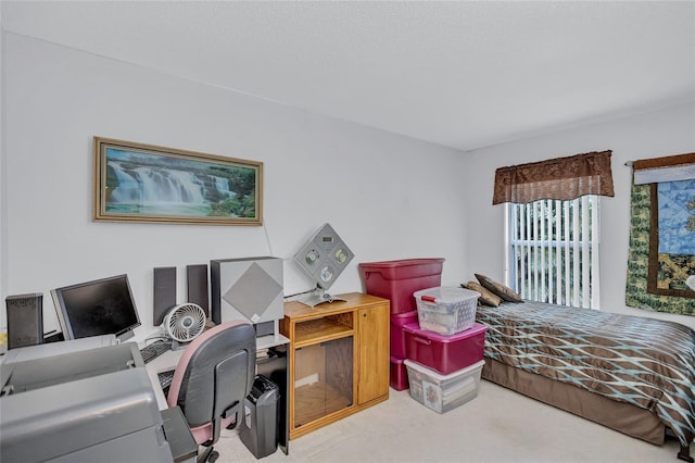 bedroom with carpet flooring