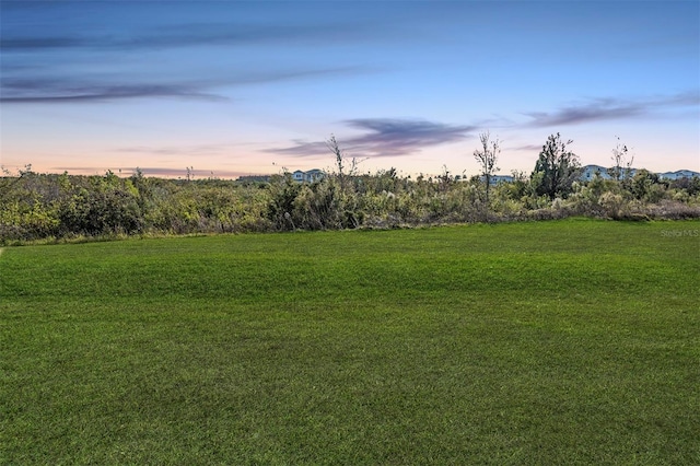 view of yard at dusk