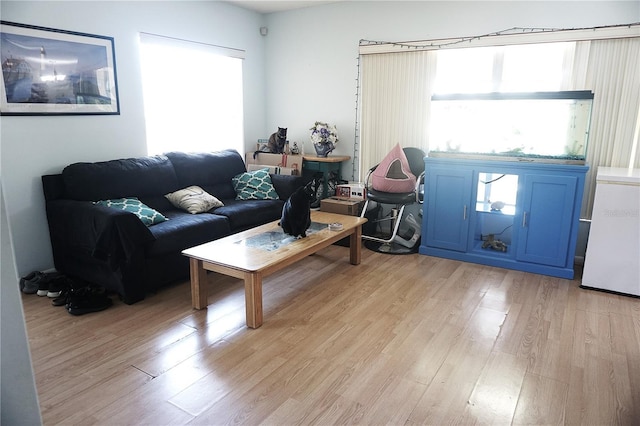 living room with light hardwood / wood-style flooring