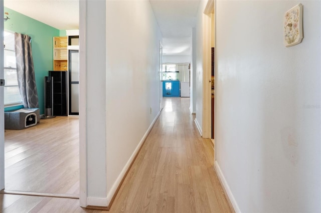 corridor featuring light hardwood / wood-style flooring