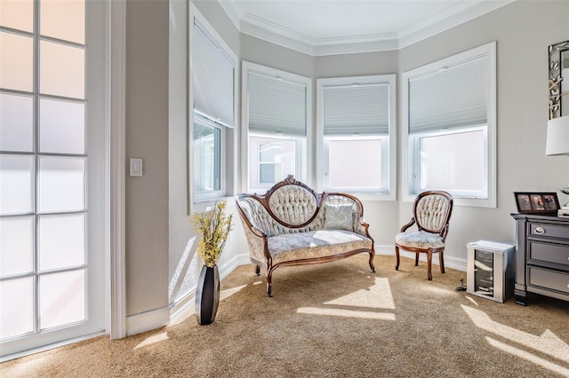 living area with wine cooler, crown molding, and carpet flooring