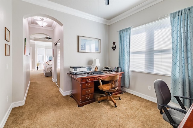 carpeted office with ceiling fan and crown molding