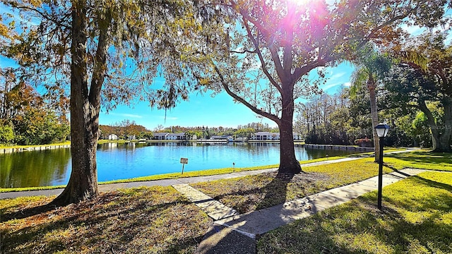 property view of water