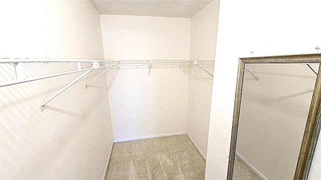 spacious closet with light colored carpet