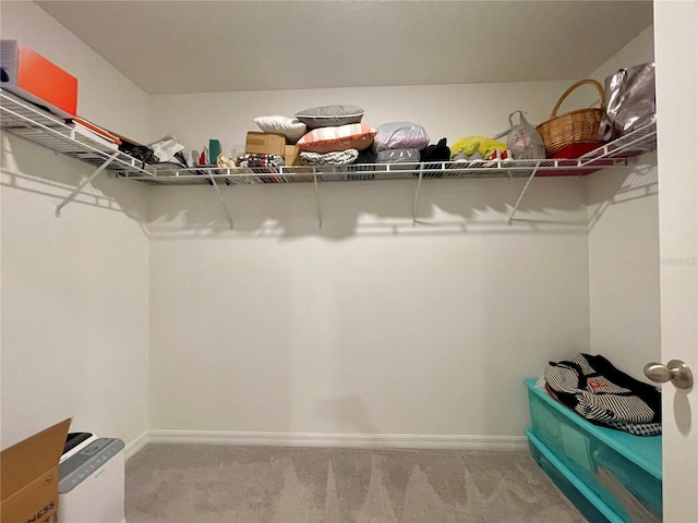 walk in closet featuring carpet flooring