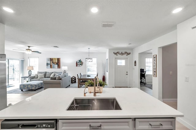 kitchen with dishwasher, sink, a wealth of natural light, and an island with sink