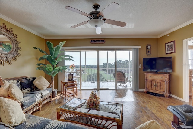 living room featuring crown molding, light hardwood / wood-style flooring, and a textured ceiling