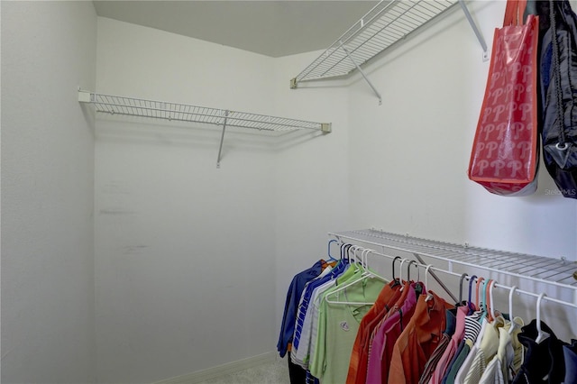 1200 Country Club Dr Unit 2504, Largo, FL 33771 - walk in closet featuring carpet flooring