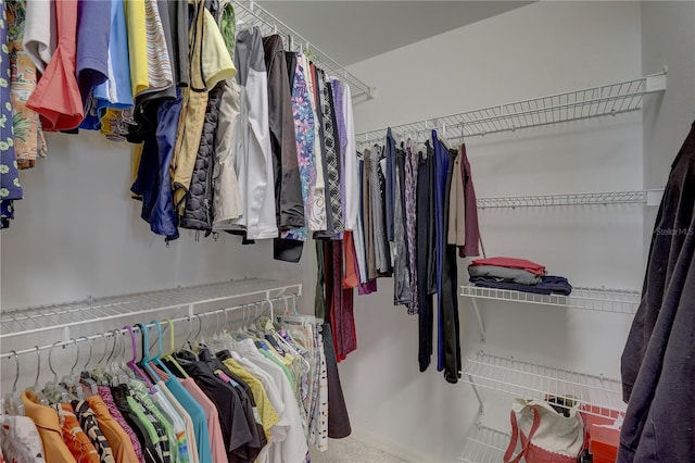 1200 Country Club Dr Unit 2504, Largo, FL 33771 - view of spacious closet