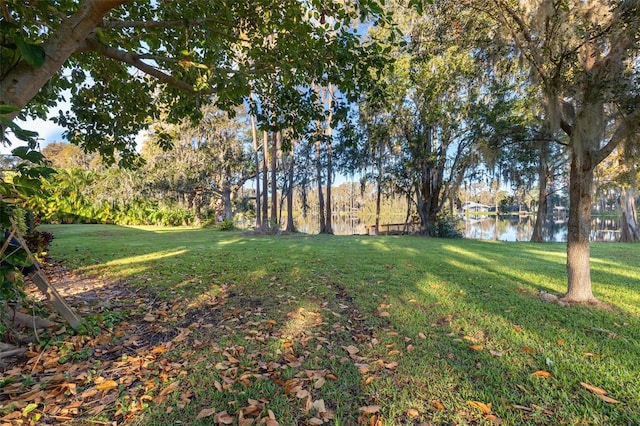 view of yard featuring a water view