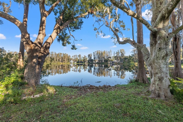 property view of water