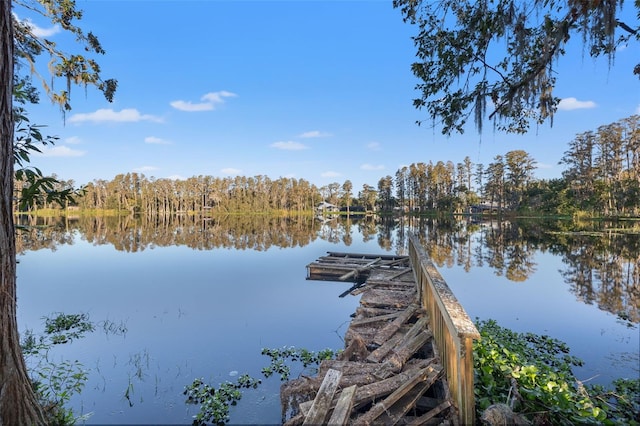 dock area featuring a water view